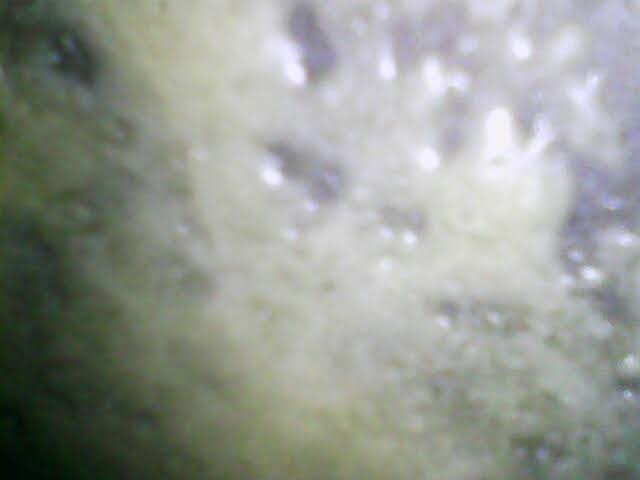 1619983969682.jpg