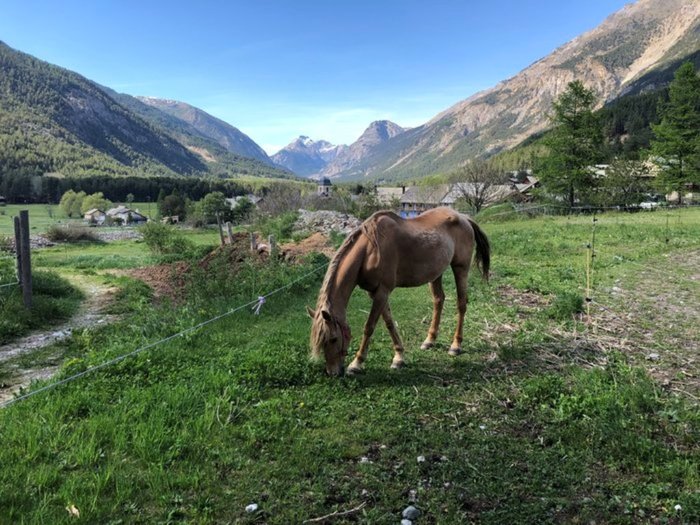 chez Jean-Marc  (1).jpeg