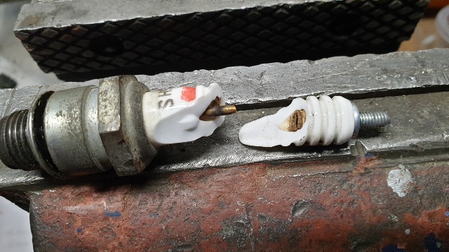 20210516_autopsie (1).jpg