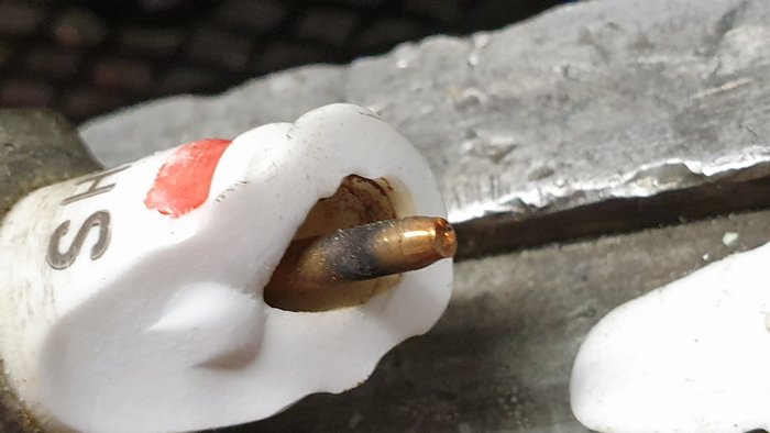 20210516_autopsie (2).jpg