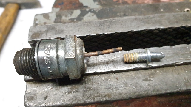 20210516_autopsie (3).jpg