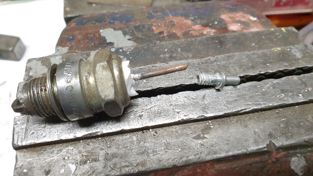 20210516_autopsie (4).jpg