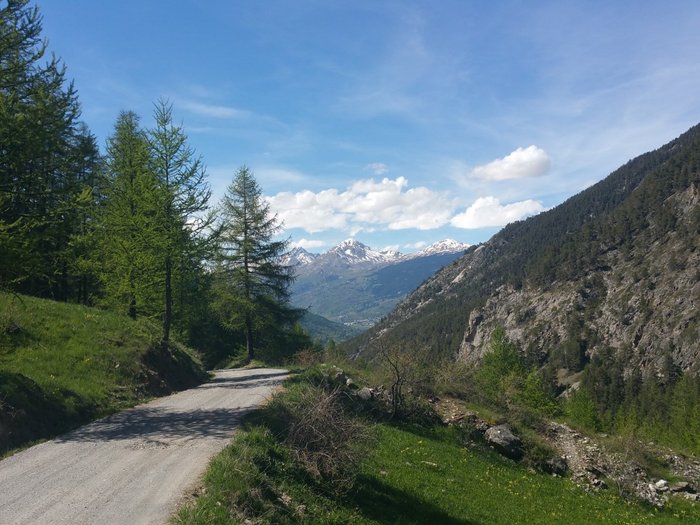 20160521_155842 (Moyen).jpg