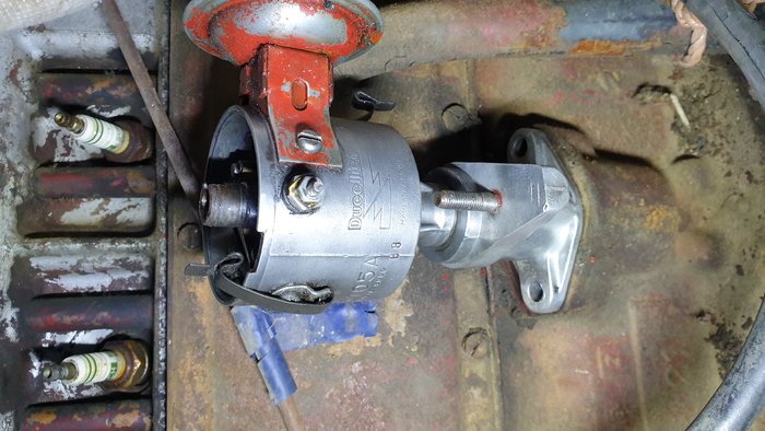 pied Ducellier 817.jpg