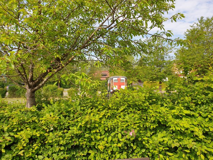 20210605_092413.jpg