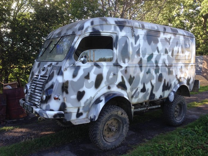 goelette camo1.JPG