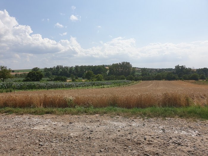 Austerlitz 04.jpg