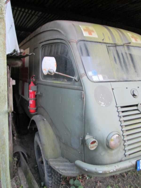 IMG_1003 (Medium).JPG