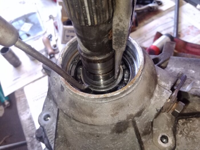 Resizer_164952551588513.jpg