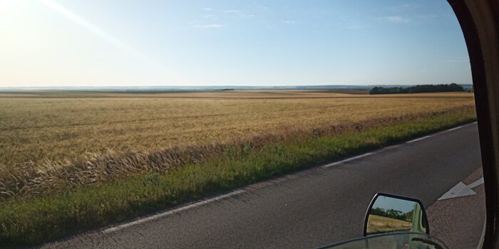 IMG_20220614_195503.jpg