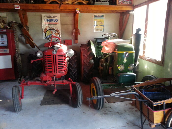 20220616_080317.jpg