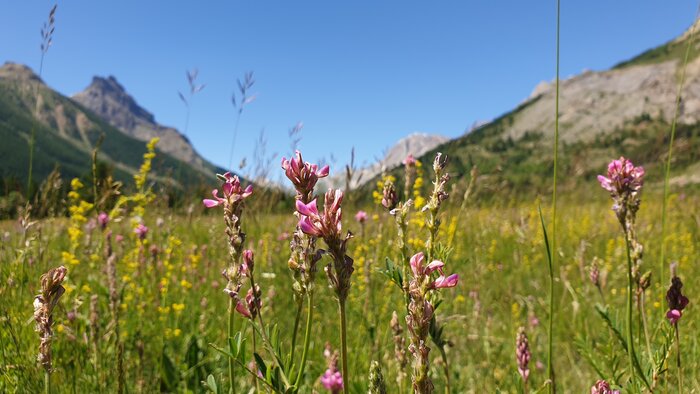 20220611_145802.jpg