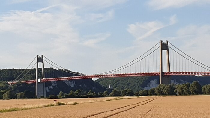 20220628_200219.jpg