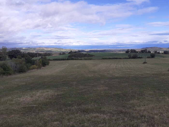 20221001_170833.jpg