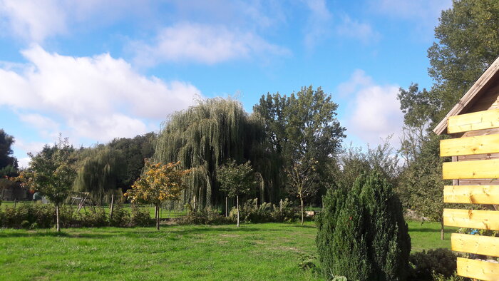 20221002_160331.jpg