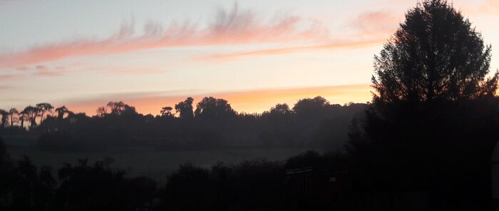 20221012_075837.jpg