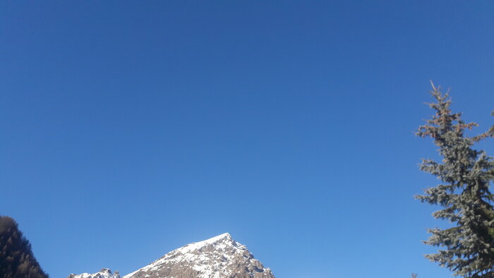 20230106_120630.jpg