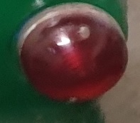 photo11.jpg