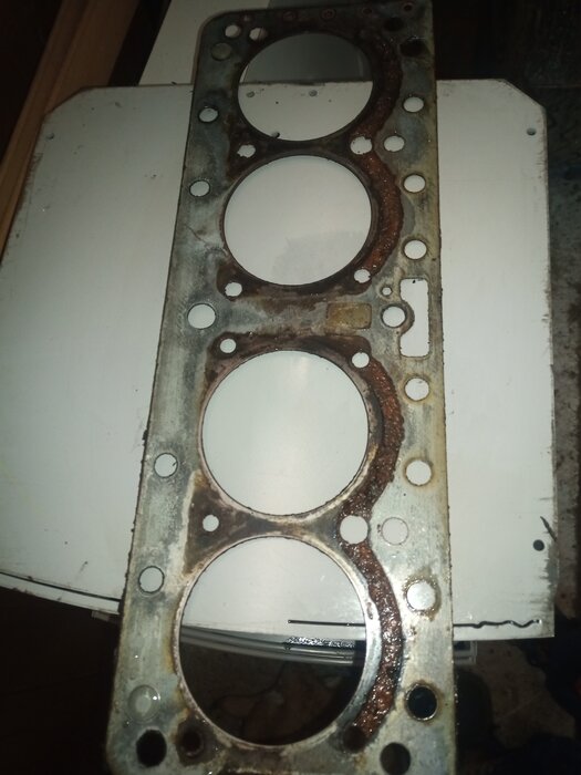 IMG_20230204_122833.jpg