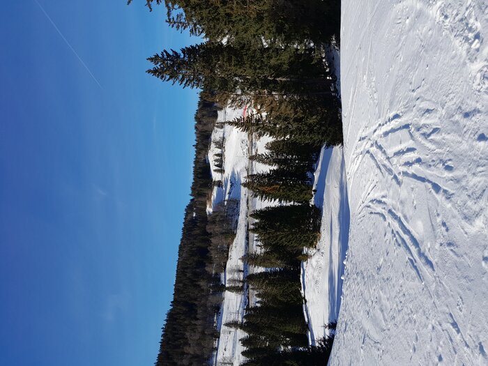 20230211_145942.jpg