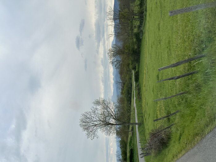 IMG_2576.jpeg