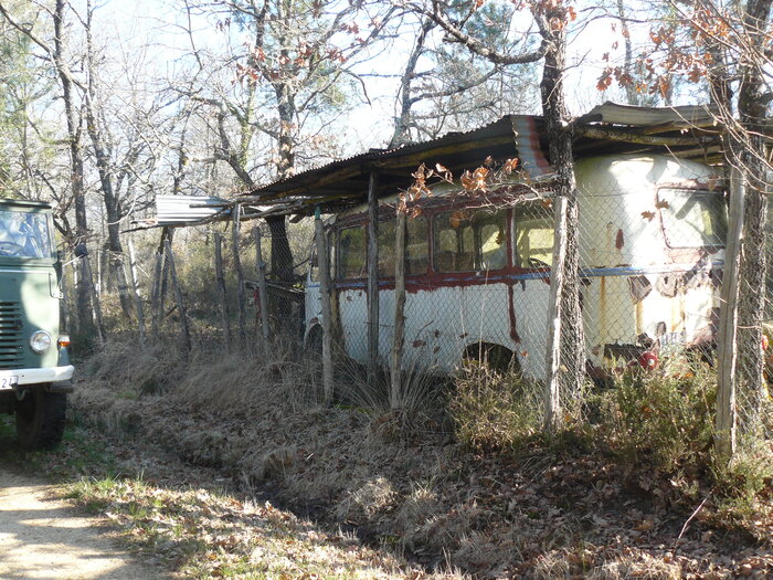 P1100147.JPG