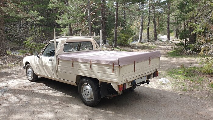 Pickup 01.jpg