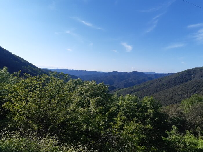 20230504_175952.jpg