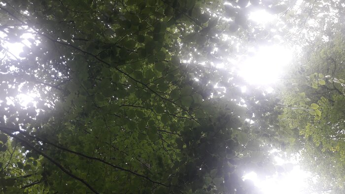 20230825_062511.jpg