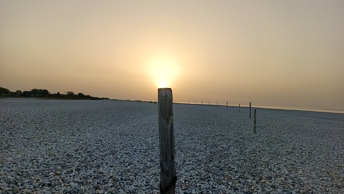 IMG_20230905_200343_678.jpg