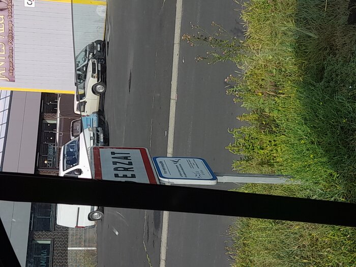 20230913_174151.jpg