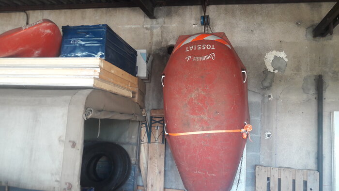 20231011_113034.jpg
