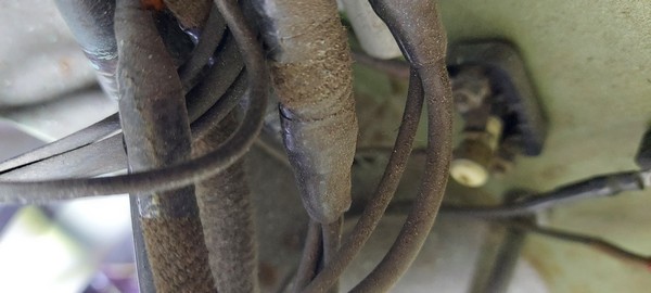 20231126_134019.jpg