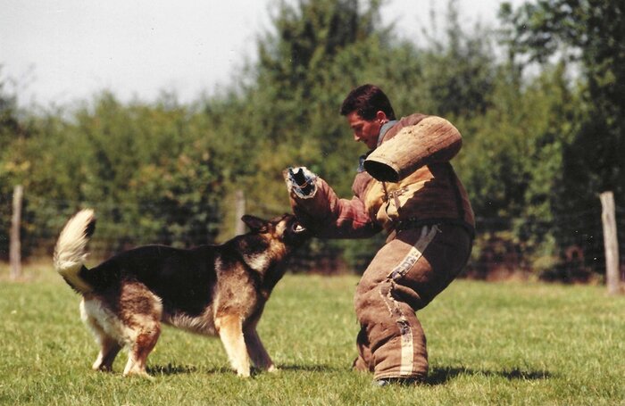 Buck CCL au mordant.jpg