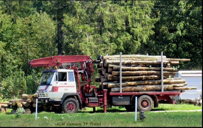Steyr Publié le 28 juillet 2018 par GLM in Camion.JPG