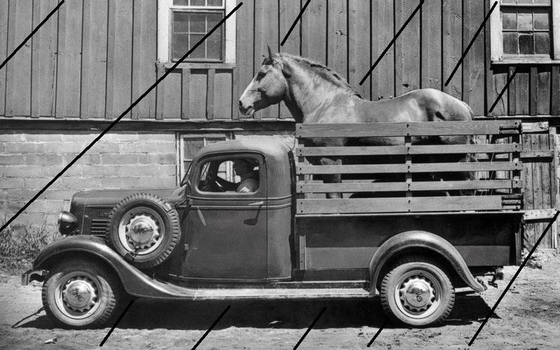 cheval camionnette.jpg