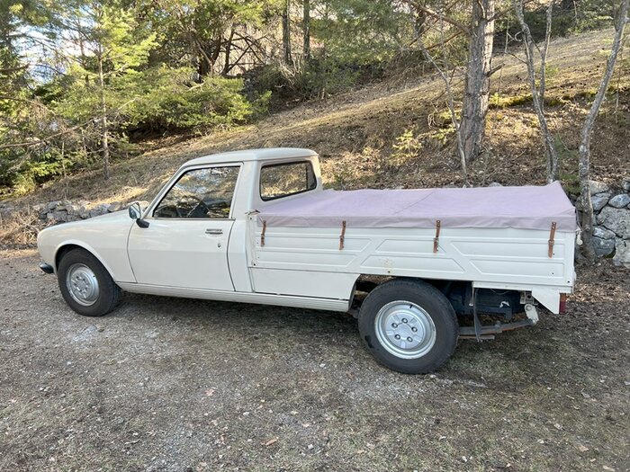 Pickup 01.jpg