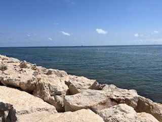 IMG_4061.jpg