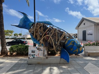 IMG_4051.jpg