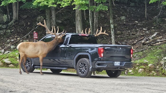 Quebec 2024 la démesure (5).jpg