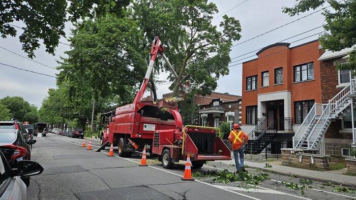 Quebec 2024 divers (4).jpg