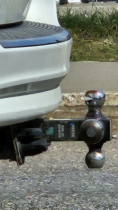 Quebec 2024 divers (9).jpg