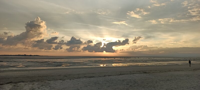 IMG_20240904_200948_374.jpg