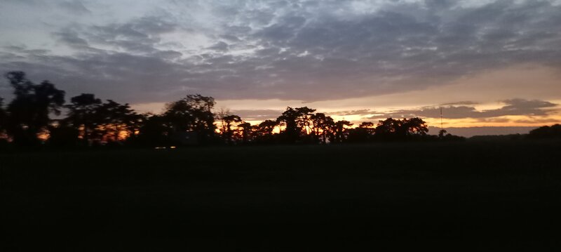 IMG_20240904_210209_943.jpg