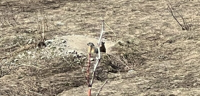 Haute vallée 03.jpg