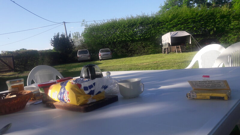 20250503_082725.jpg