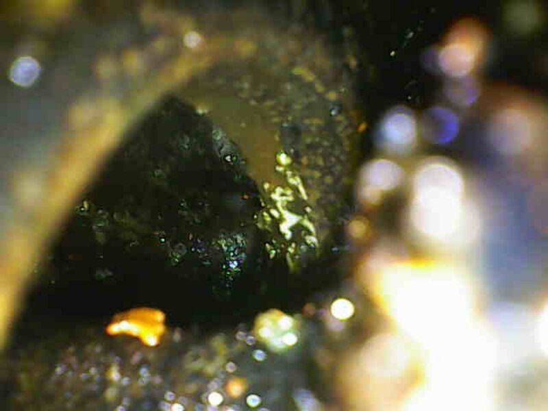 Photo_2025-05-09 16_47_41_568.JPG