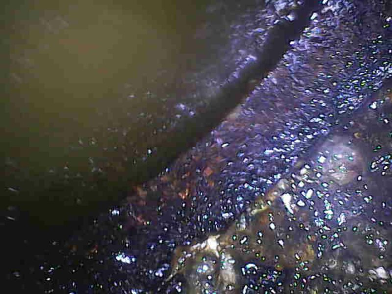 Photo_2025-05-09 16_49_25_063.JPG