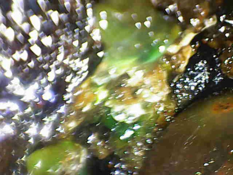 Photo_2025-05-09 16_49_38_109.JPG