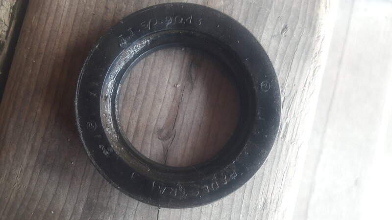 20250513_124704.jpg